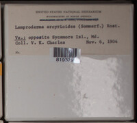 Image Associated With the Occurence